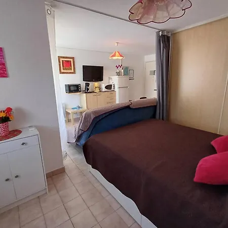 T1 Agreable Avec Parking Prive, Proche Etang De Thau, Climatise, Cuisine Equipee, Loggia, - Fr-1-571-33