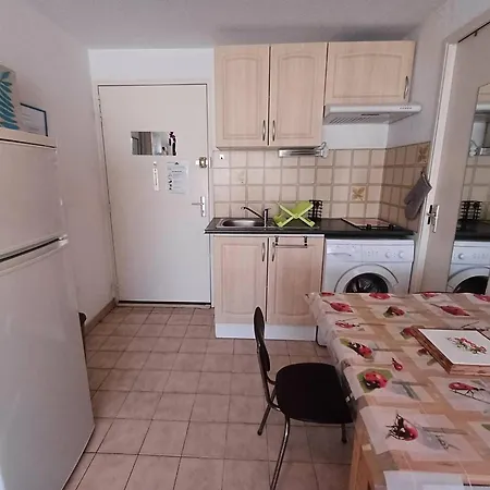 Apartment T1 Agreable Avec Parking Prive, Proche Etang De Thau, Climatise, Cuisine Equipee, Loggia, - Fr-1-571-33
