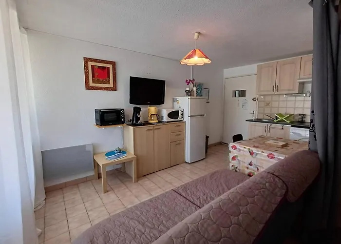 T1 Agreable Avec Parking Prive, Proche Etang De Thau, Climatise, Cuisine Equipee, Loggia, - Fr-1-571-33 * Balaruc-les-Bains