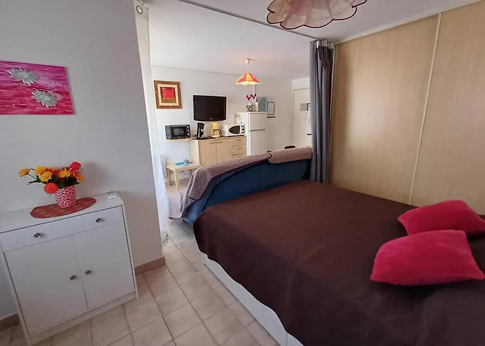 T1 Agreable Avec Parking Prive, Proche Etang De Thau, Climatise, Cuisine Equipee, Loggia, - Fr-1-571-33