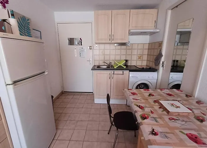 Apartment T1 Agreable Avec Parking Prive, Proche Etang De Thau, Climatise, Cuisine Equipee, Loggia, - Fr-1-571-33