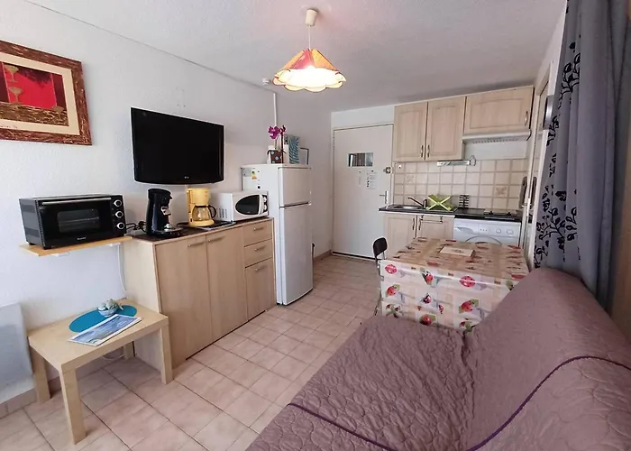 T1 Agreable Avec Parking Prive, Proche Etang De Thau, Climatise, Cuisine Equipee, Loggia, - Fr-1-571-33 *