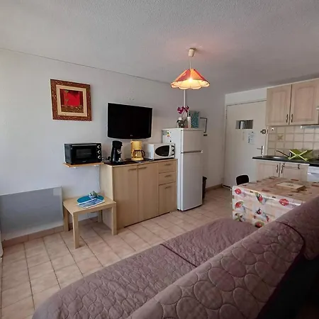 T1 Agreable Avec Parking Prive, Proche Etang De Thau, Climatise, Cuisine Equipee, Loggia, - Fr-1-571-33 * Balaruc-les-Bains