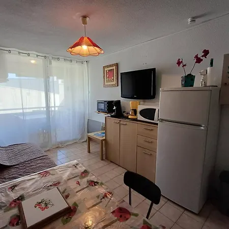 Apartmán T1 Agreable Avec Parking Prive, Proche Etang De Thau, Climatise, Cuisine Equipee, Loggia, - Fr-1-571-33 *