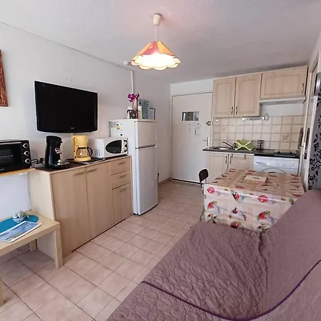 T1 Agreable Avec Parking Prive, Proche Etang De Thau, Climatise, Cuisine Equipee, Loggia, - Fr-1-571-33 *