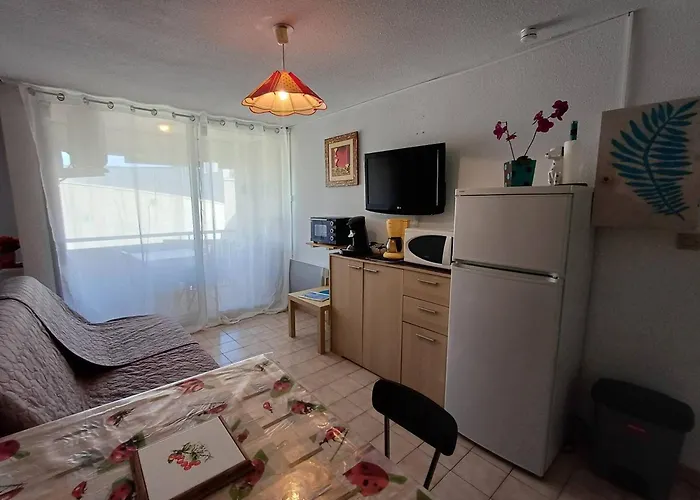 Apartamento T1 Agreable Avec Parking Prive, Proche Etang De Thau, Climatise, Cuisine Equipee, Loggia, - Fr-1-571-33 *